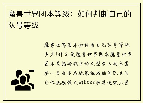 魔兽世界团本等级：如何判断自己的队号等级
